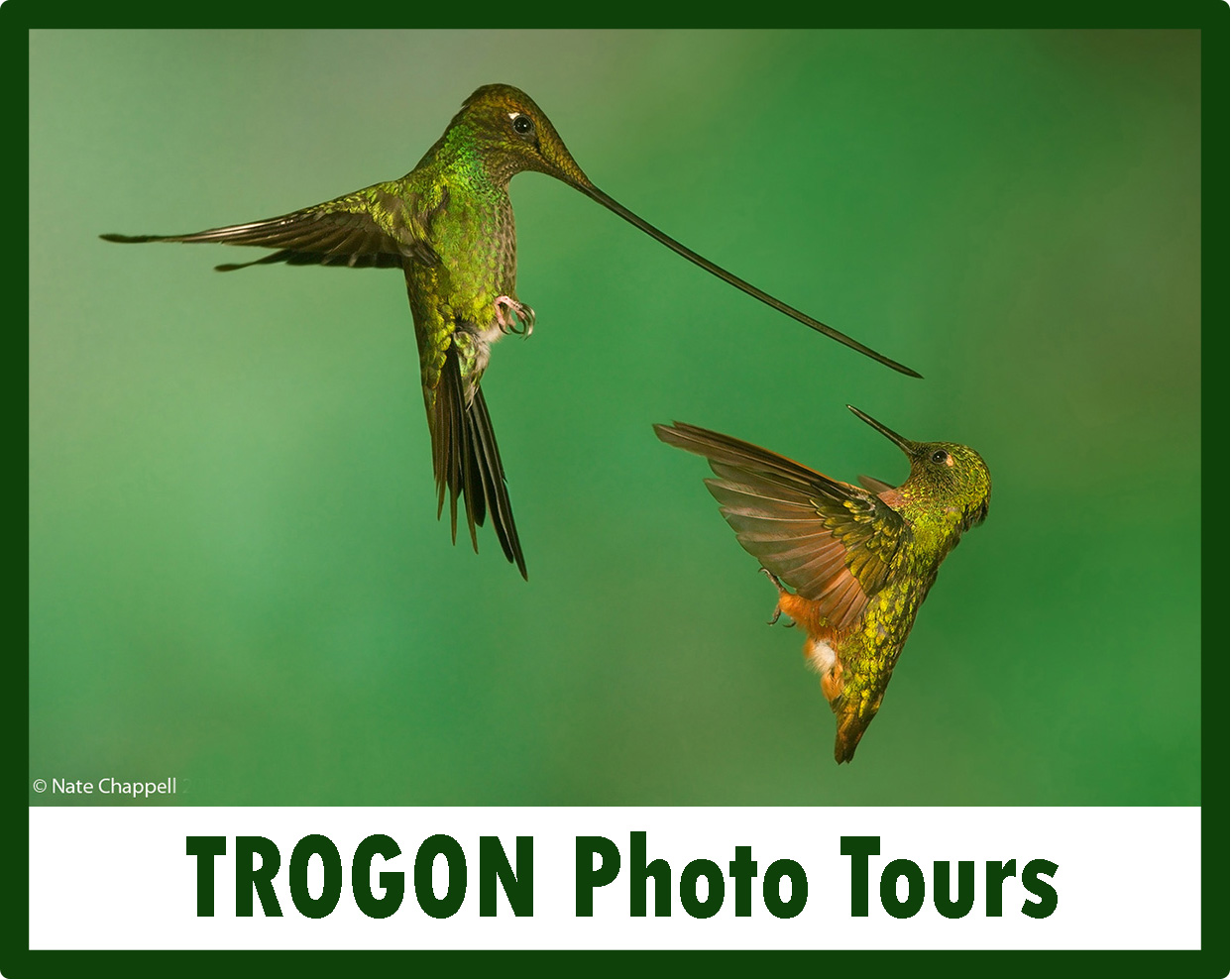 Trogon Photo Tours