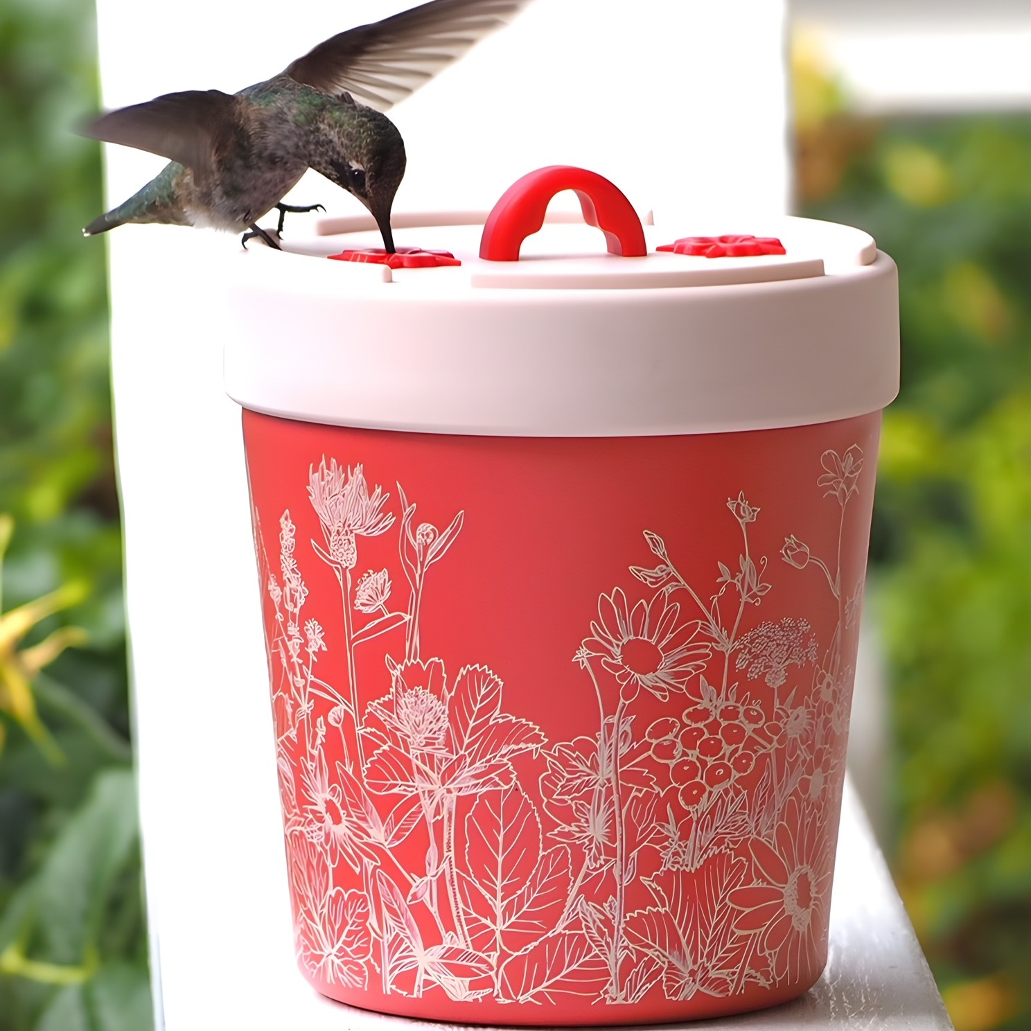 Anna’s Healthy Hummingbird Feeder – Picture